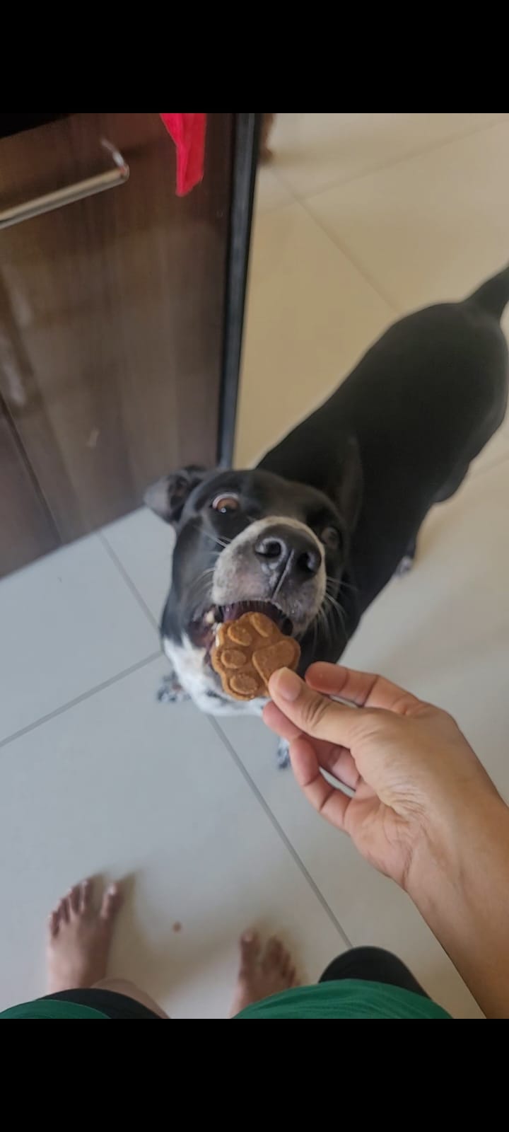 Coconut Cookies