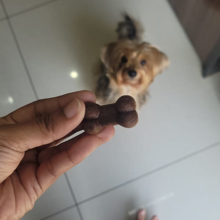 Peanut Butter Bites
