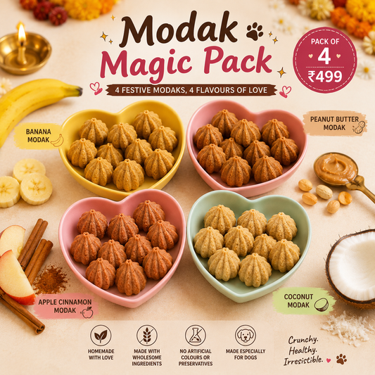 Modak Magic Pack