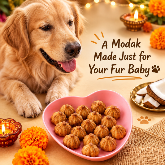 Coconut Modak