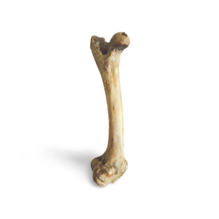 Pork Bone