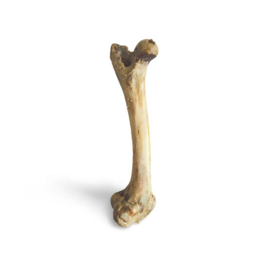 Pork Bone